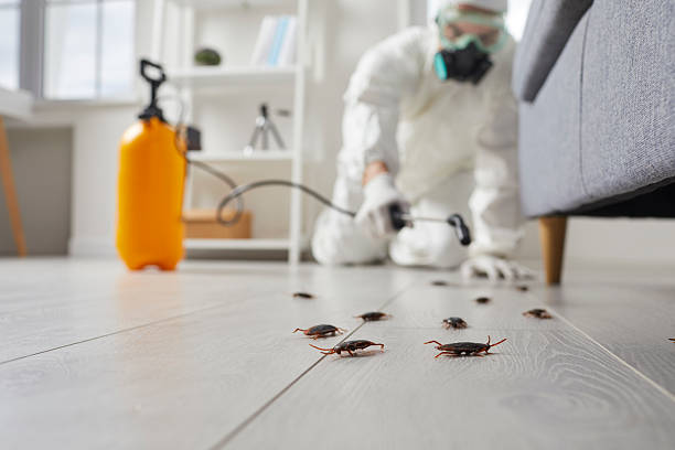 Commercial Kitchen Cockroach Control in Eatonton